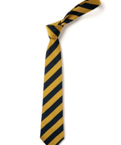 Stoke Damerel Primary tie
