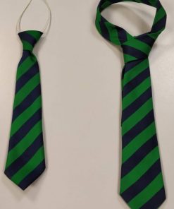 Lipson Vale tie