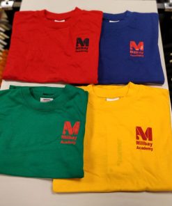 Millbay Academy PE-T