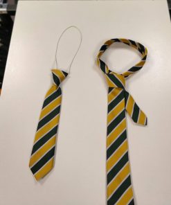 Cathedral School tie