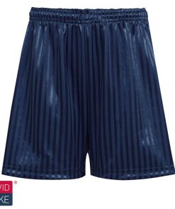 Shadow stripe PE shorts navy