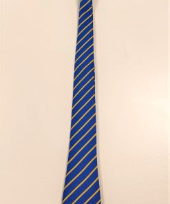 Drake Primary tie, Drake Primary School