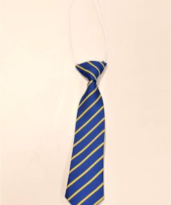 Drake Primary tie, Drake Primary School