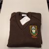 DHSG Saltram school jumper, DHSG