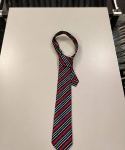 Manadon Vale tie, Manadon Vale Primary School