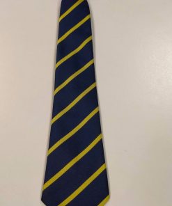 Plymstock tie, Plymstock Secondary School