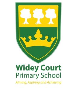 Widey Court Primary School